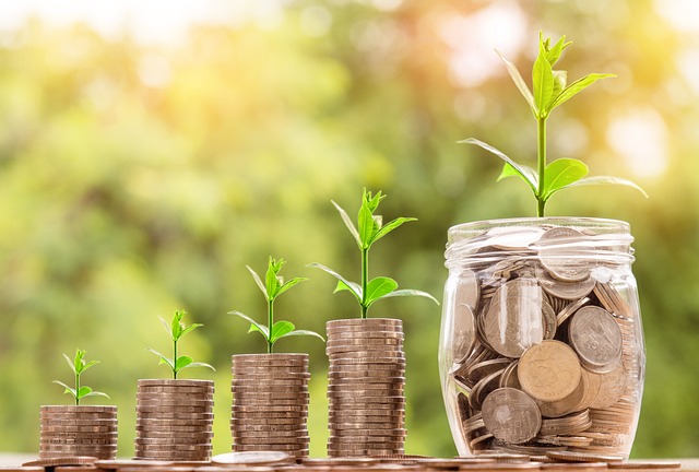 Growing money plants